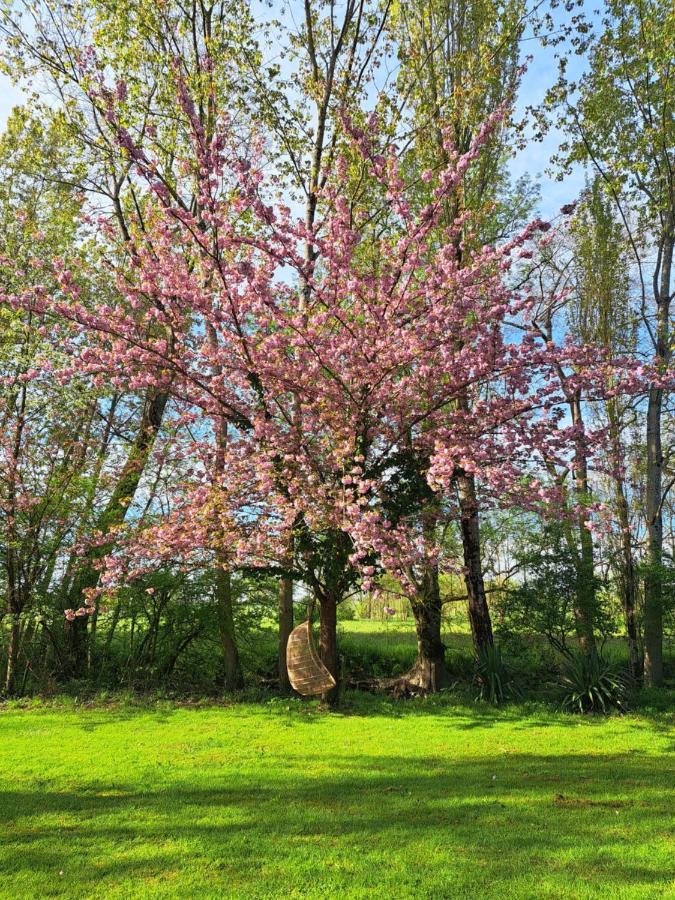 Le Moulin Etourneau - 3 Gites Avec 2 Piscines Champagnac  外观 照片