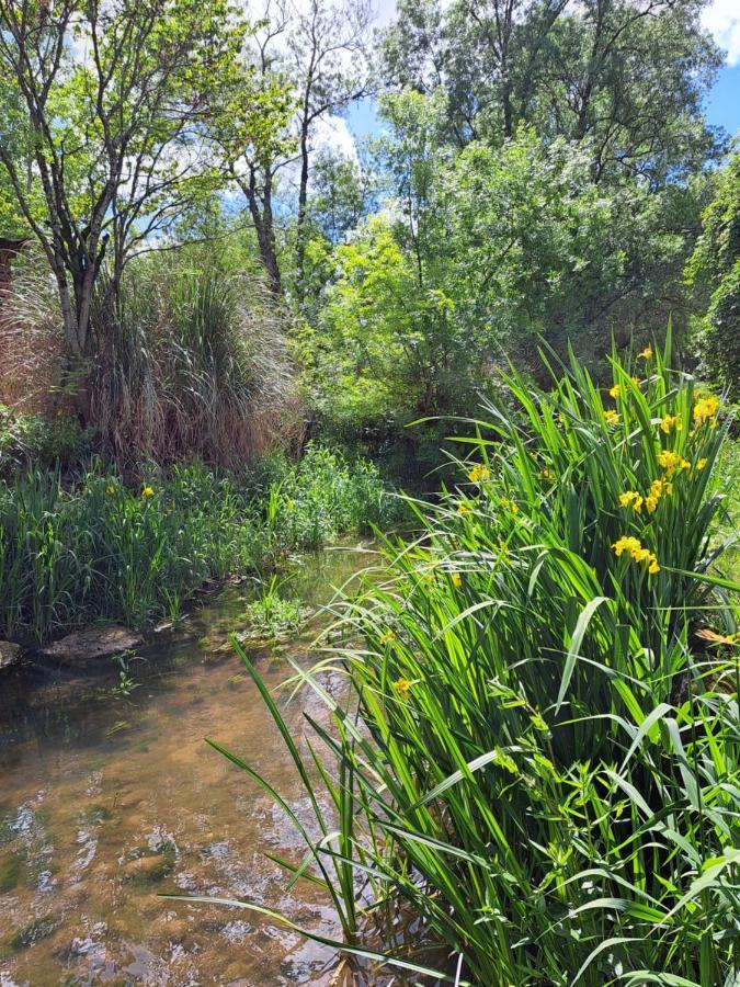 Le Moulin Etourneau - 3 Gites Avec 2 Piscines Champagnac  外观 照片